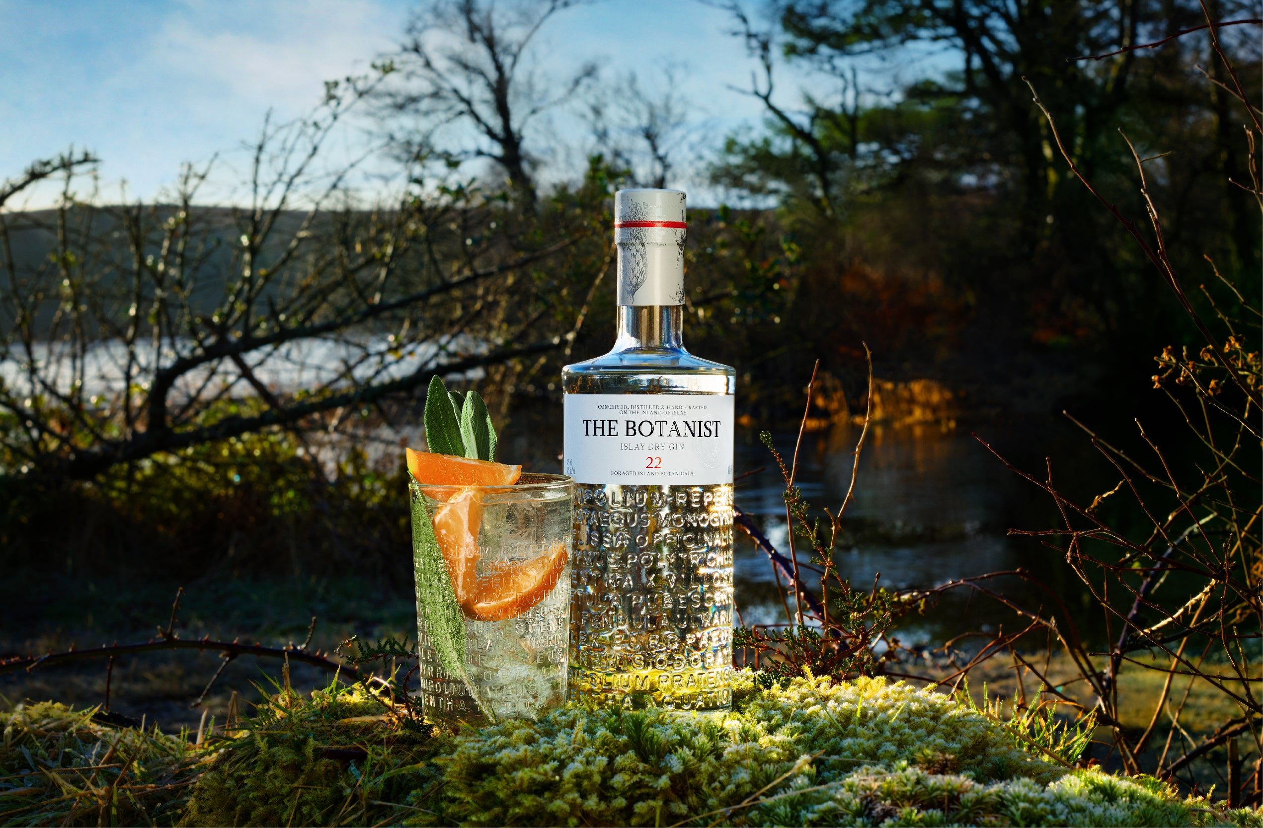 A lifestyle photo of a Botanist bottle in a forest with a cocktail glass, all lit by a sunshine