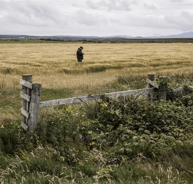 THE BOTANIST ISLAY DRY GIN