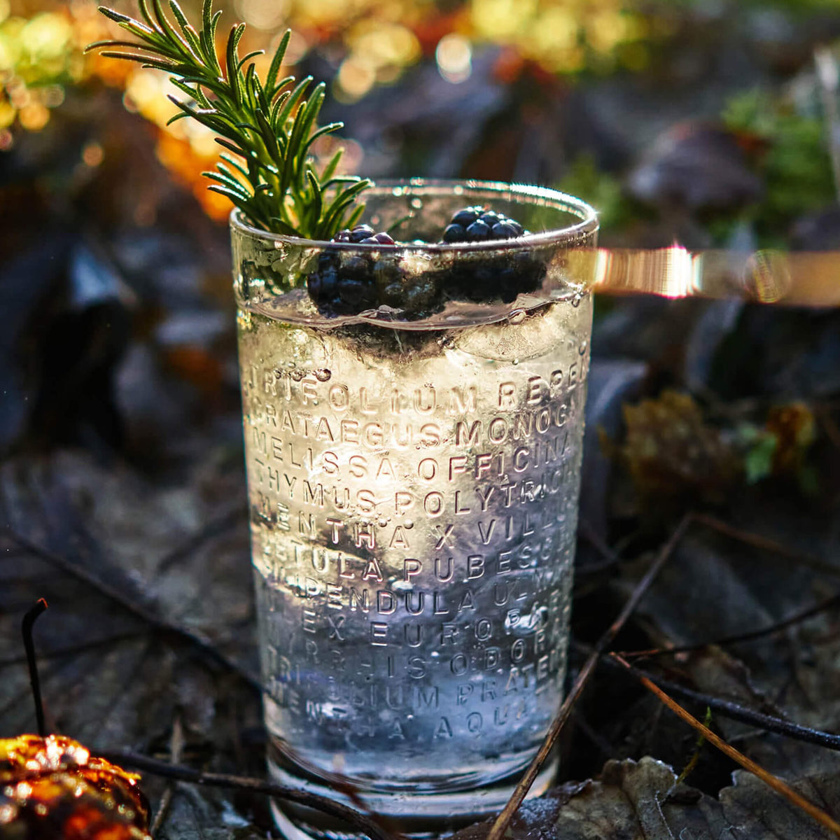 The Botanist & Tonic with Bramble and Rosemary