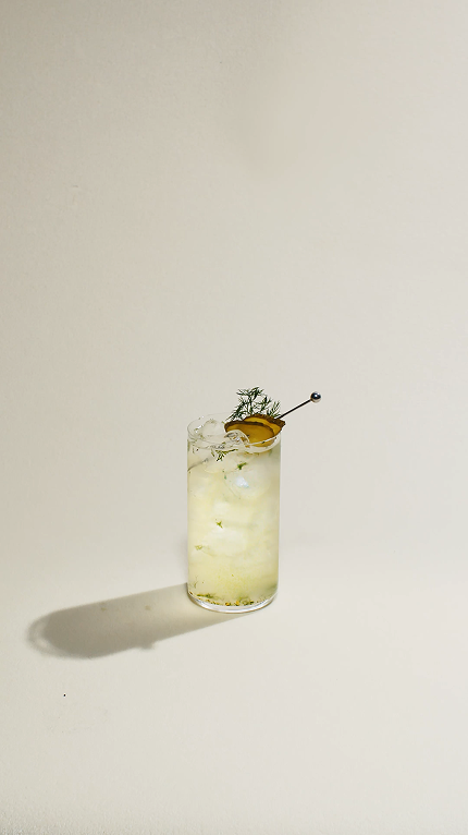 The Botanist Pickle Rickey