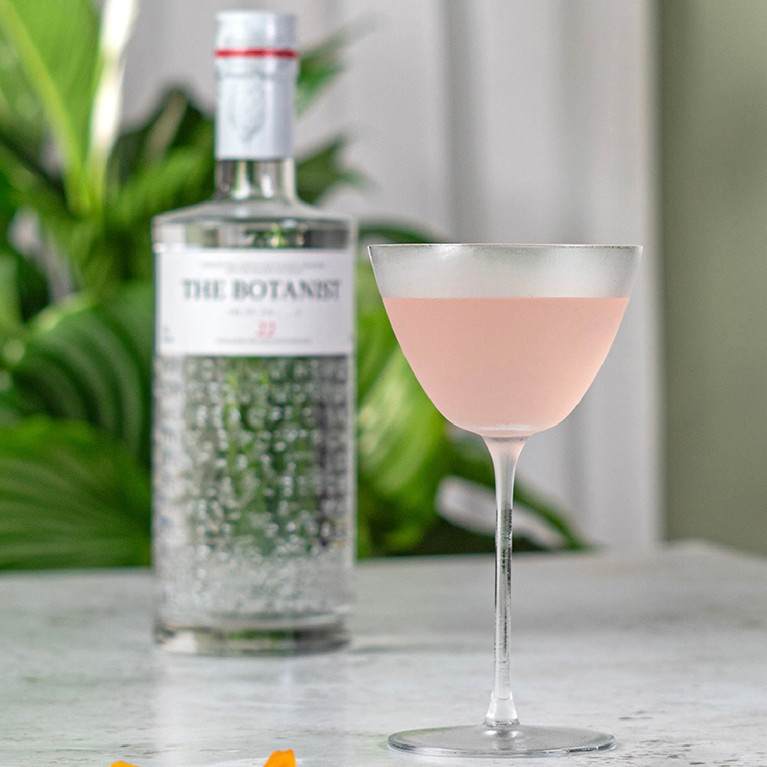 Rhubarb and Silver Birch Gimlet