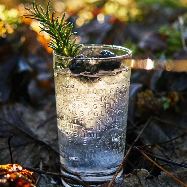 A lifestyle photo of a Botanist cocktail with rosemary and blackberries