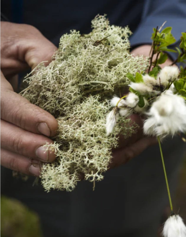 AGRICULTURE & <br/>BIODIVERSITY